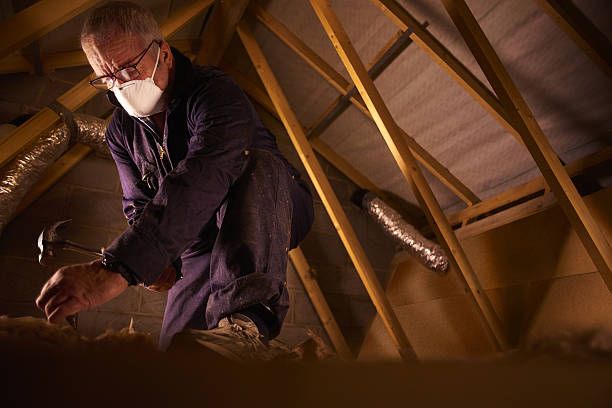 Best Insulation Maintenance and Repair in Newell, WV